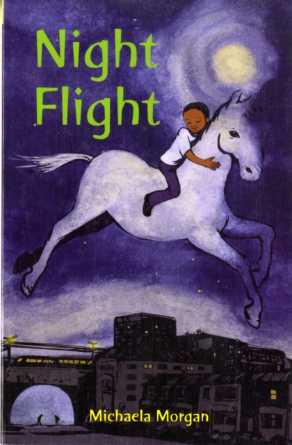 Night Flight, Paperback Book