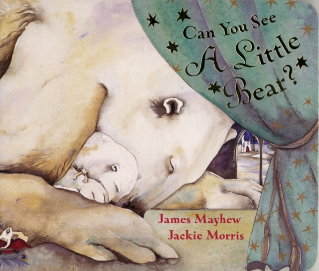 Can You See a Little Bear?, Board book Book