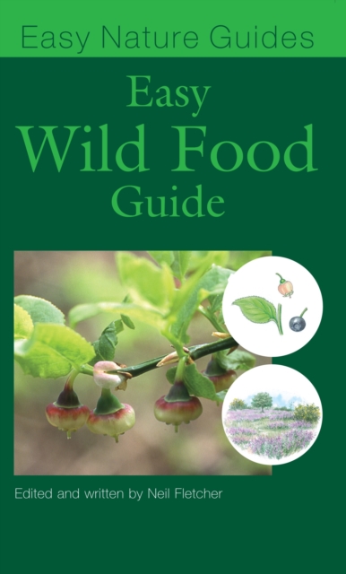 The Easy Wild Food Guide, Paperback Book