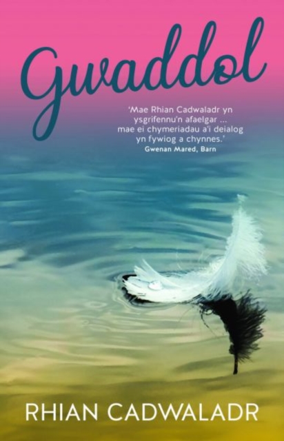 Gwaddol, Paperback / softback Book