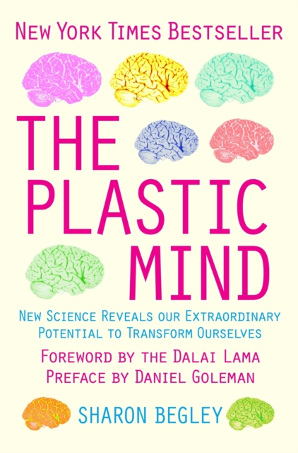 The Plastic Mind, Paperback / softback Book