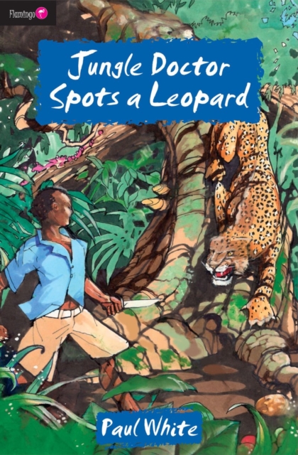 Jungle Doctor Spots a Leopard, Paperback / softback Book