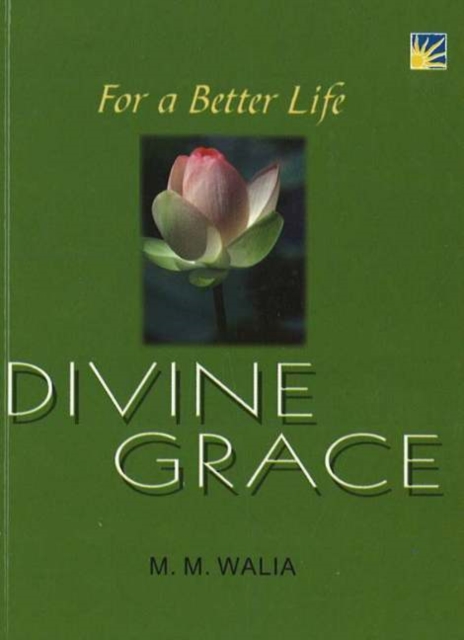 For A Better Life -- Divine Grace : A Book on Self-Empowerment, Paperback / softback Book