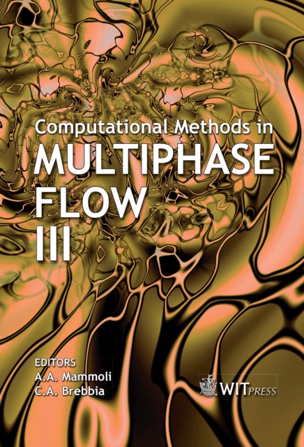 Computational Methods in Multiphase Flow III, PDF eBook