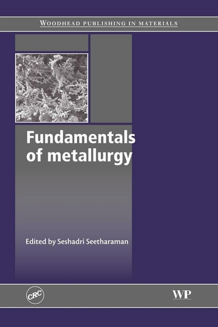 Fundamentals of Metallurgy, EPUB eBook