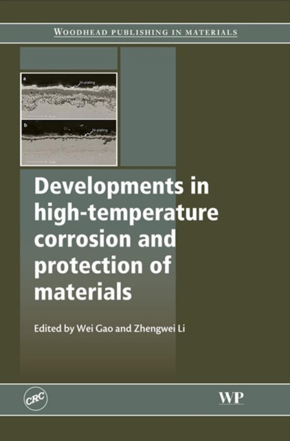 Developments in High Temperature Corrosion and Protection of Materials, EPUB eBook