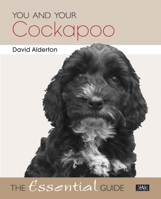 You and Your Cockapoo, EPUB eBook