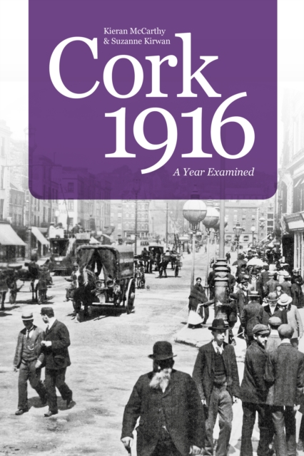 Cork 1916 : A Year Examined, Paperback / softback Book