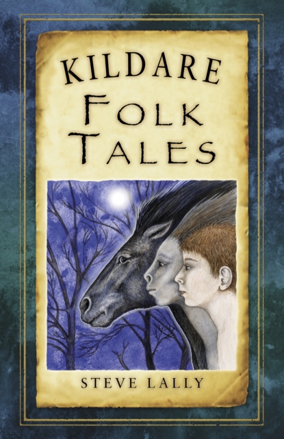 Kildare Folk Tales, Paperback / softback Book