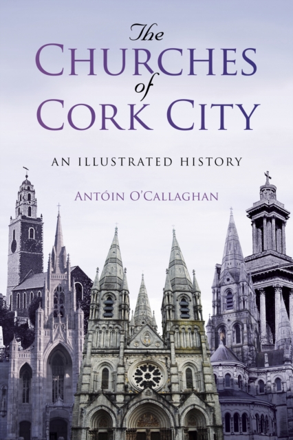 The Churches of Cork City : An Illustrated History, Paperback / softback Book