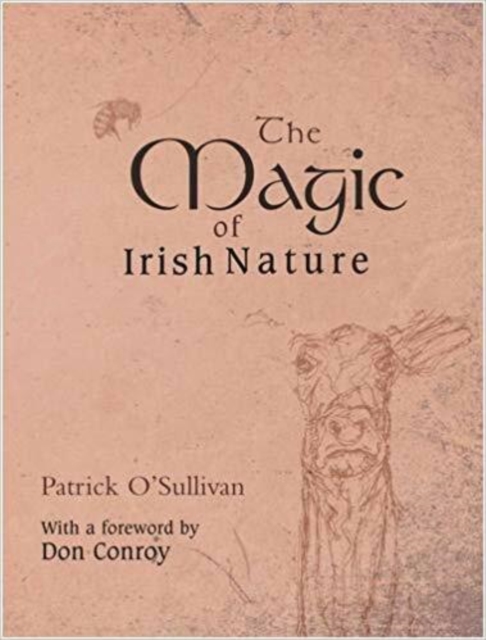 The Magic of Irish Nature, Paperback / softback Book
