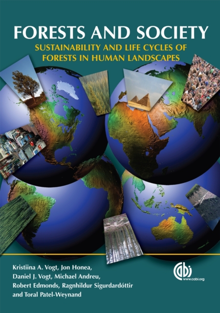 Forests and Society : Sustainability and Life Cycles of Forests in Human Landscapes, Paperback / softback Book