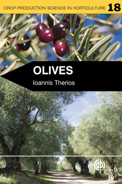 Olives, Paperback / softback Book