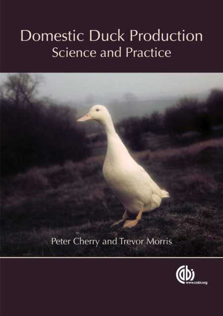 Domestic Duck Production : Science and Practice, Paperback / softback Book