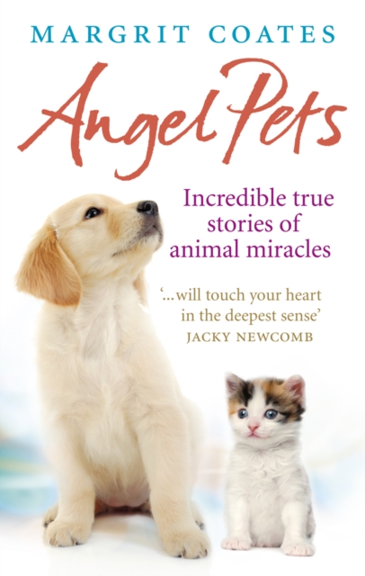 Angel Pets : Incredible True Stories of Animal Miracles, Paperback / softback Book