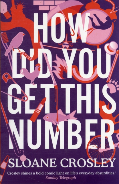 How Did You Get This Number, Paperback / softback Book