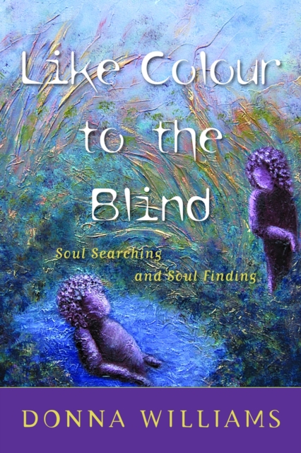 Like Colour to the Blind : Soul Searching and Soul Finding, PDF eBook