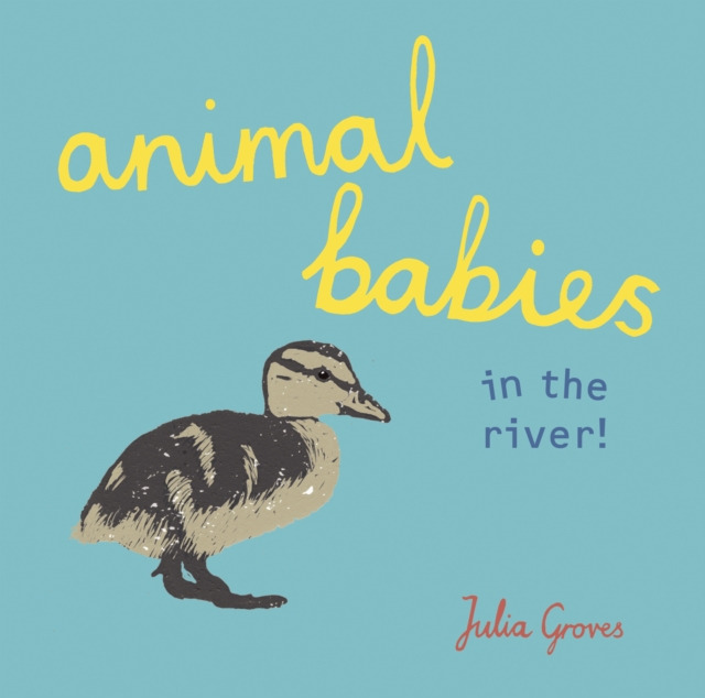 Animal Babies in the River!, Board book Book
