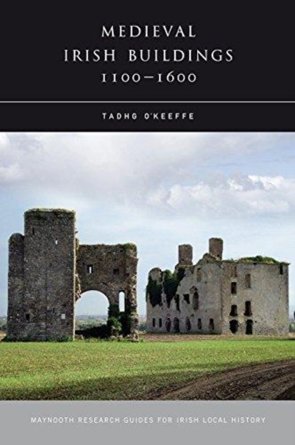 Medieval Irish Buildings, 1100 - 1600, Paperback / softback Book