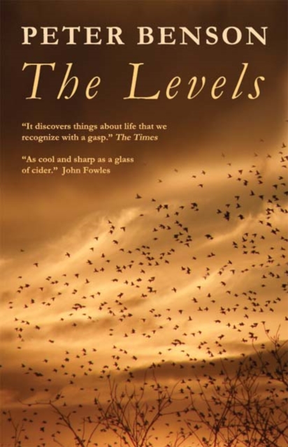 The Levels, EPUB eBook