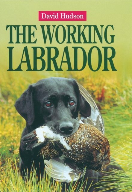 The Working Labrador, EPUB eBook