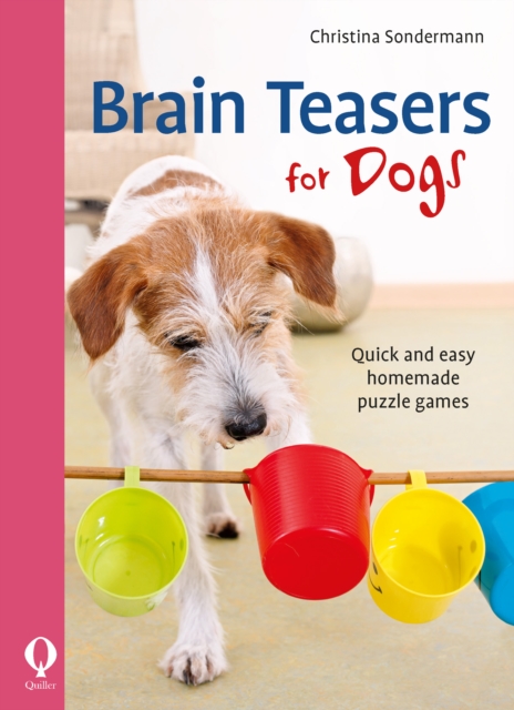 Brain Teasers for Dogs : Quick and easy homemade puzzle games, Paperback / softback Book
