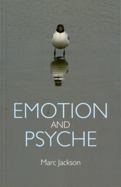 Emotion and Psyche, Paperback / softback Book