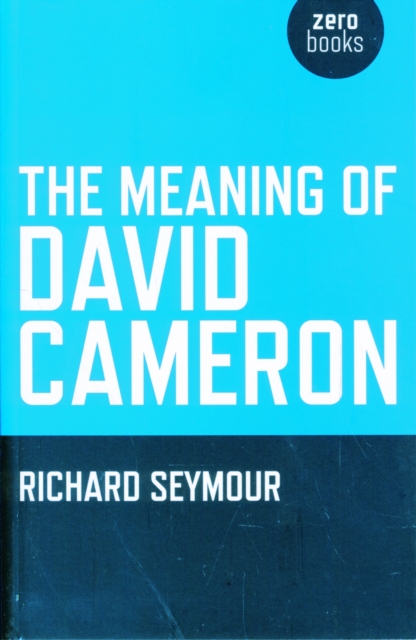 Meaning of David Cameron, The, Paperback / softback Book