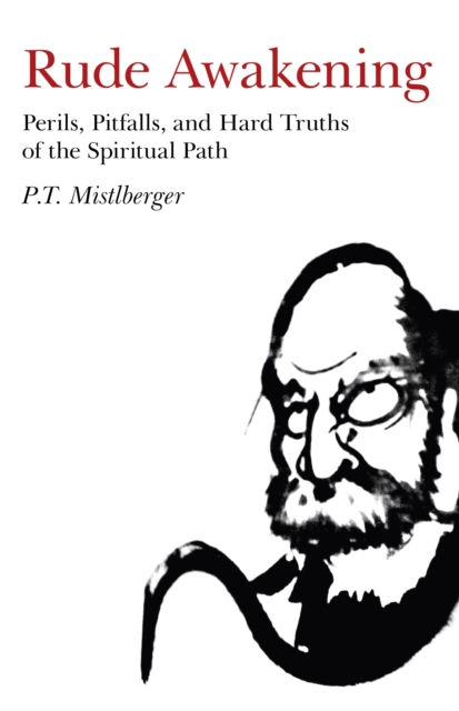 Rude Awakening - Perils, Pitfalls, and Hard Truths of the Spiritual Path, Paperback / softback Book