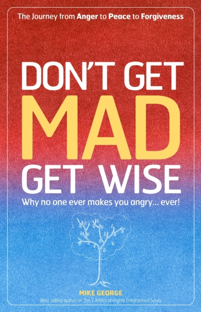 Don't Get MAD Get Wise : Why No One Ever Makes You Angry, Ever!, EPUB eBook