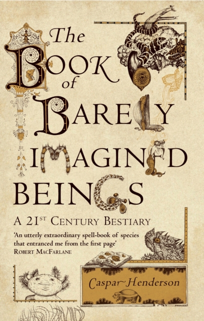 The Book of Barely Imagined Beings : A 21st-Century Bestiary, Paperback / softback Book