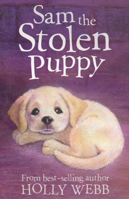 Sam the Stolen Puppy, Paperback / softback Book