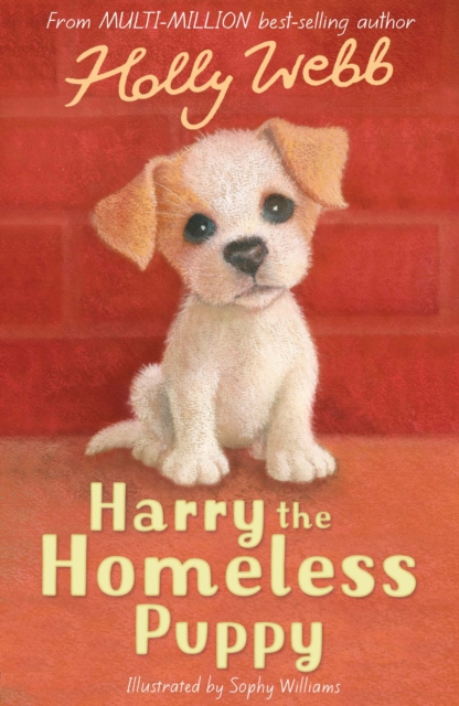 Harry the Homeless Puppy, Paperback / softback Book