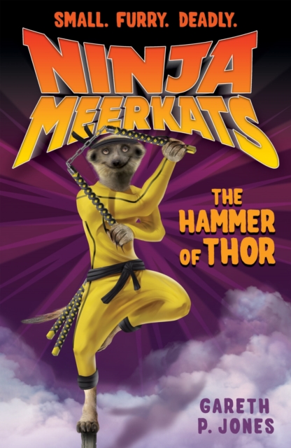 The Hammer of Thor, Paperback / softback Book