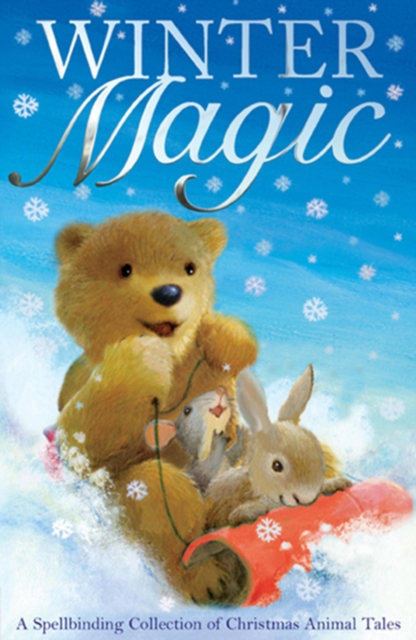 Winter Magic, EPUB eBook