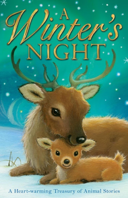 A Winter's Night, EPUB eBook