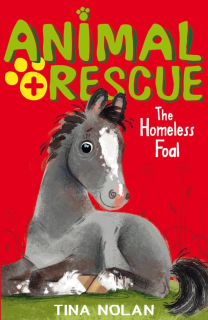 The Homeless Foal, Paperback / softback Book