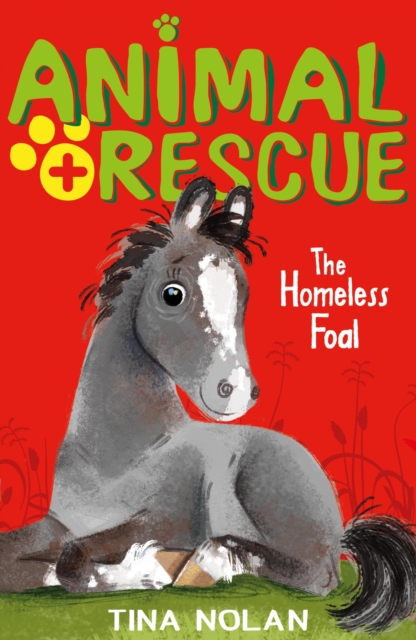 The Homeless Foal, EPUB eBook