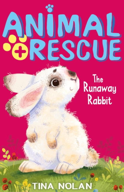 The Runaway Rabbit, EPUB eBook