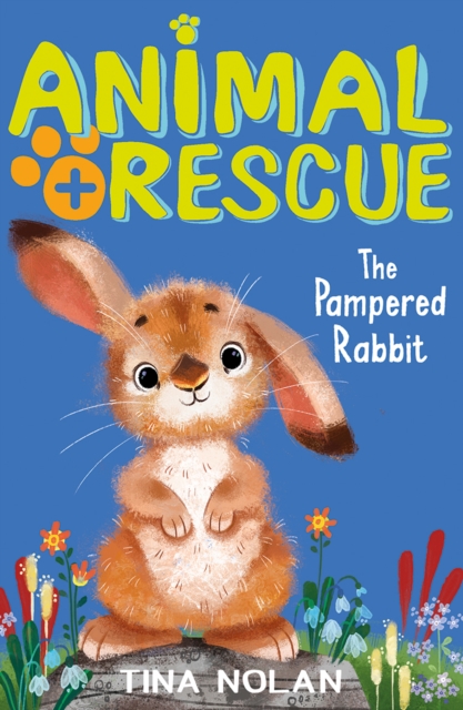 The Pampered Rabbit, Paperback / softback Book