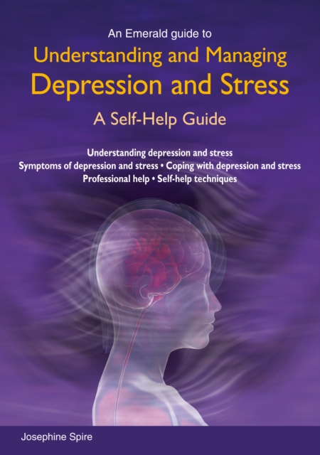 Understanding And Managing Depression And Stress, Paperback / softback Book