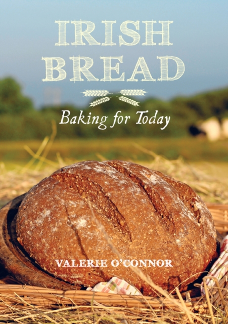 Irish Bread Baking for Today, Paperback / softback Book