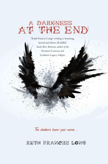 A Darkness at the End, EPUB eBook