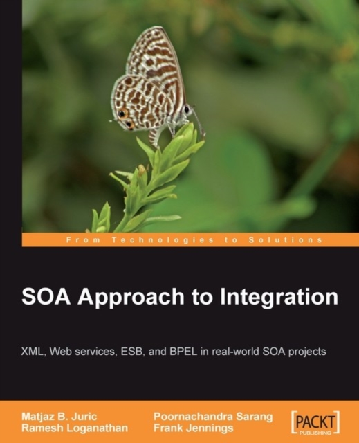 SOA Approach to Integration: XML, Web services, ESB, and BPEL in real-world SOA projects, EPUB eBook
