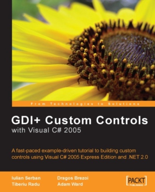 GDI+ Application Custom Controls with Visual C# 2005, EPUB eBook