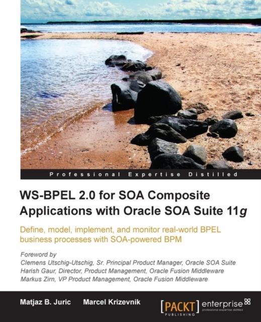 WS-BPEL 2.0 for SOA Composite Applications with Oracle SOA Suite 11g, EPUB eBook