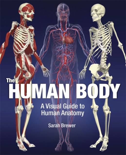 The Human Body : A Visual Guide to Human Anatomy, Hardback Book