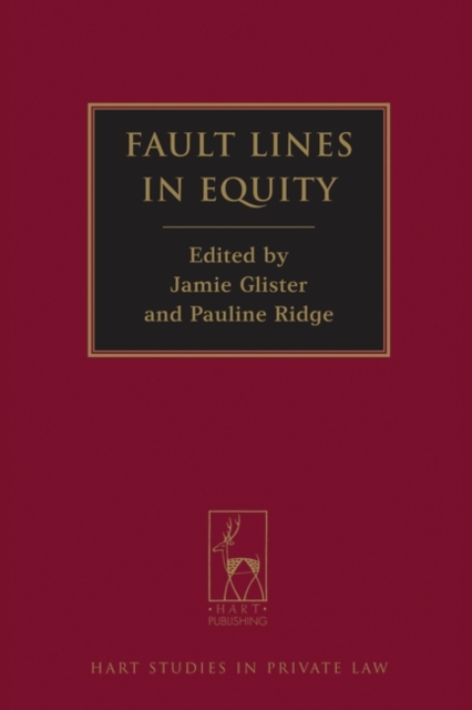 Fault Lines in Equity, PDF eBook