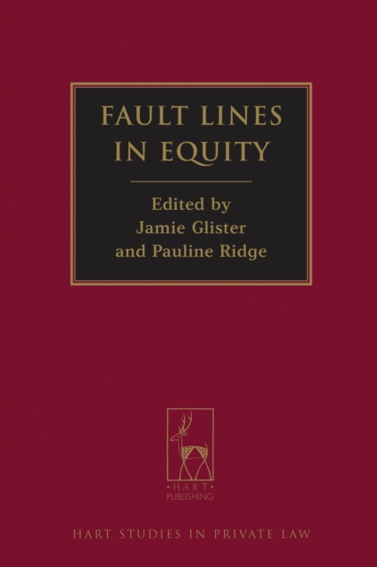 Fault Lines in Equity, EPUB eBook