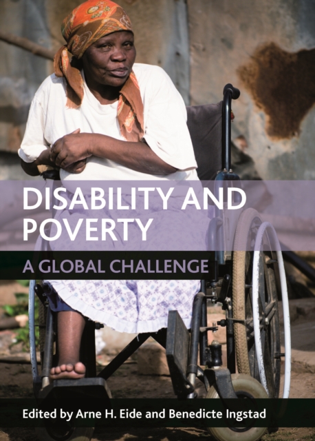 Disability and poverty : A global challenge, PDF eBook